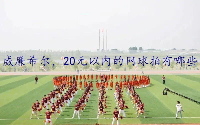 20元以内的网球拍有哪些