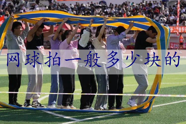 网球拍一般多少块的