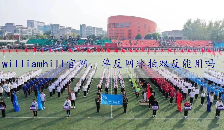 单反网球拍双反能用吗_