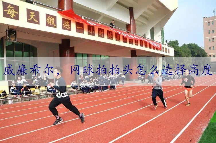 网球拍拍头怎么选择高度