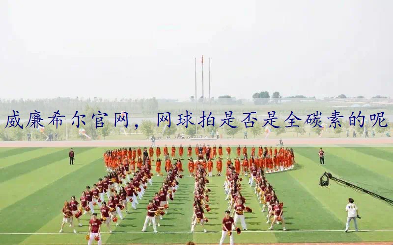 网球拍是否是全碳素的呢