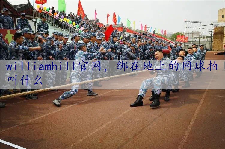 绑在地上的网球拍叫什么
