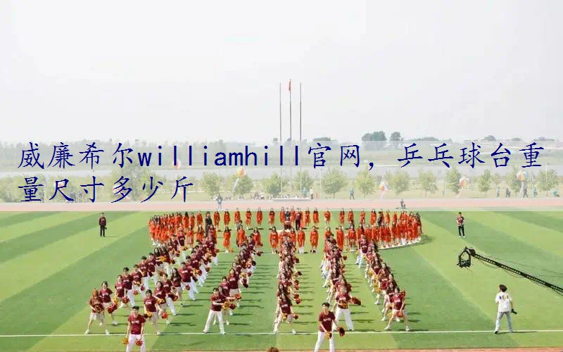 乒乓球台重量尺寸多少斤