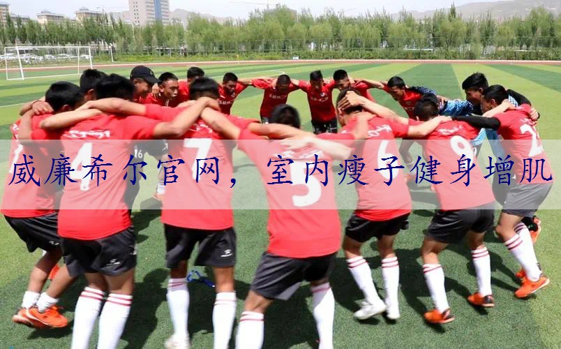 室内瘦子健身增肌