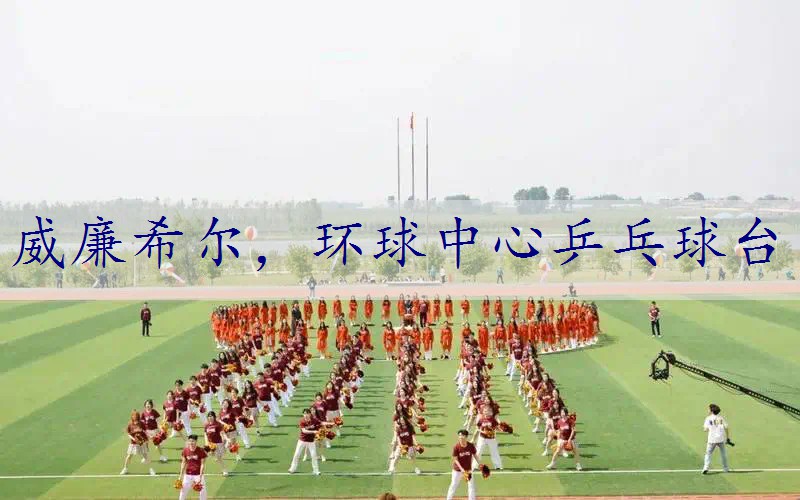 环球中心乒乓球台