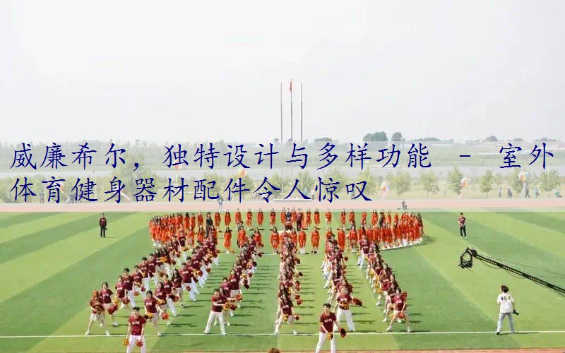 独特设计与多样功能 – 室外体育健身器材配件令人惊叹
