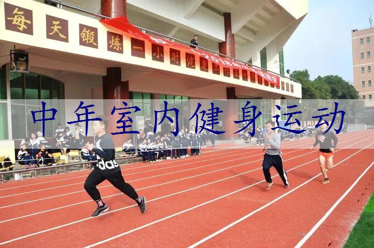 中年室内健身运动