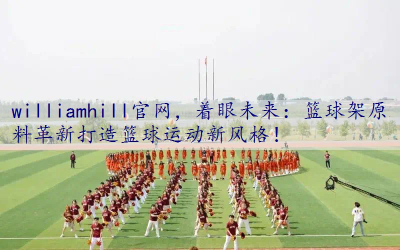 着眼未来：篮球架原料革新打造篮球运动新风格！