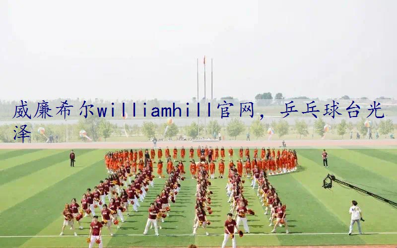 乒乓球台光泽