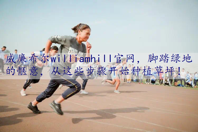 脚踏绿地的惬意，从这些步骤开始种植草坪！