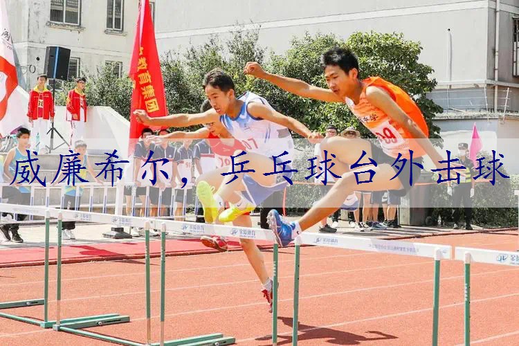 乒乓球台外击球