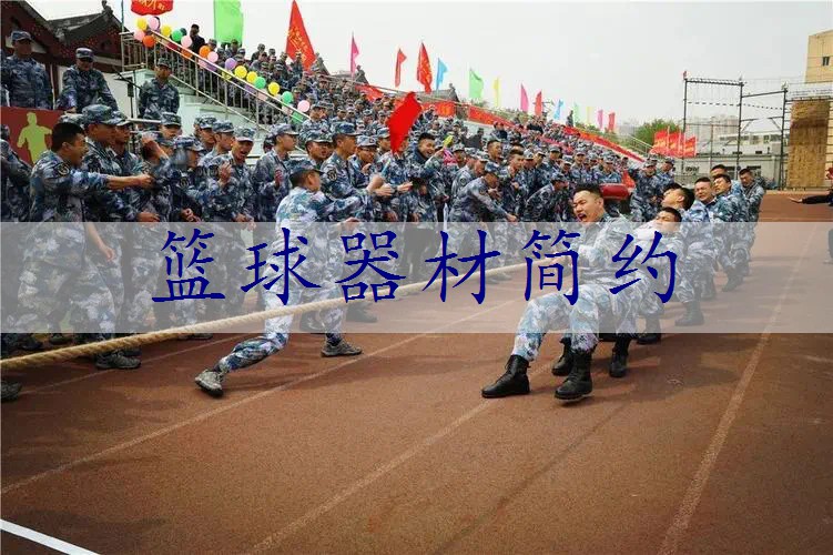 篮球器材简约