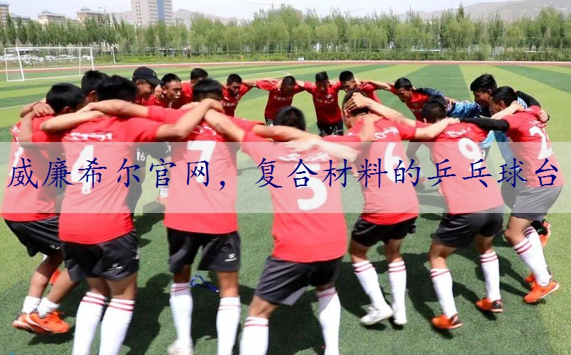 复合材料的乒乓球台