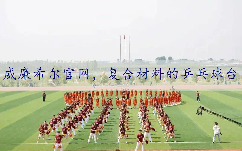 复合材料的乒乓球台