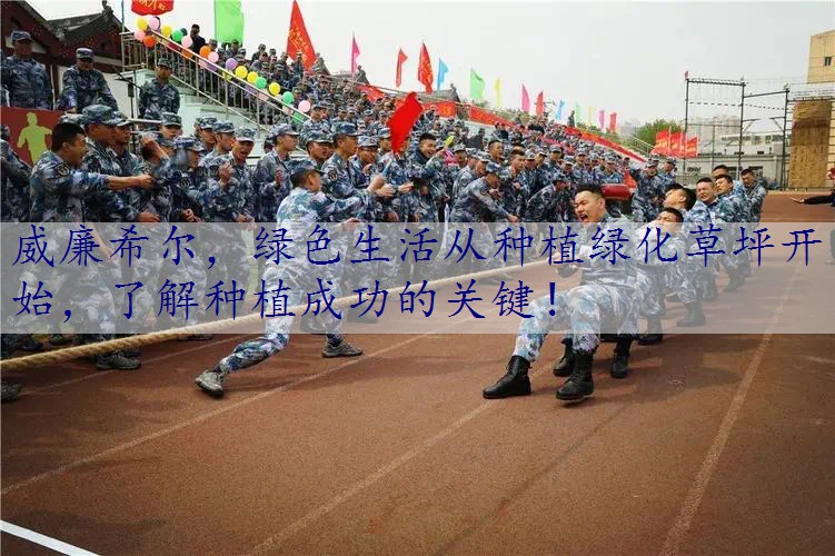 绿色生活从种植绿化草坪开始，了解种植成功的关键！