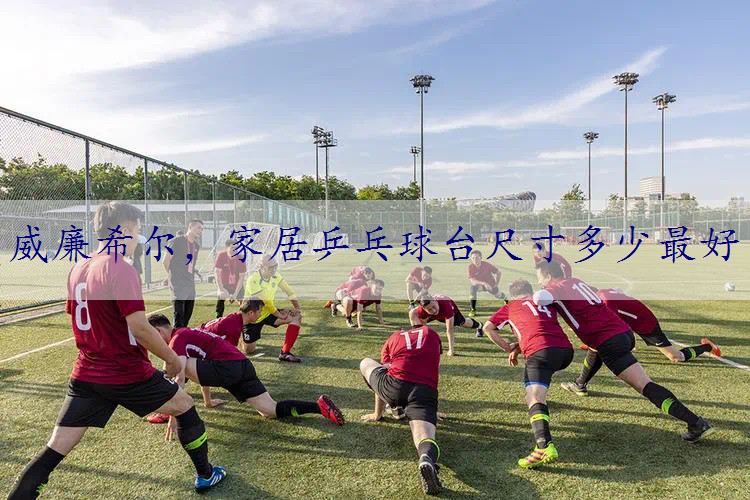 家居乒乓球台尺寸多少最好
