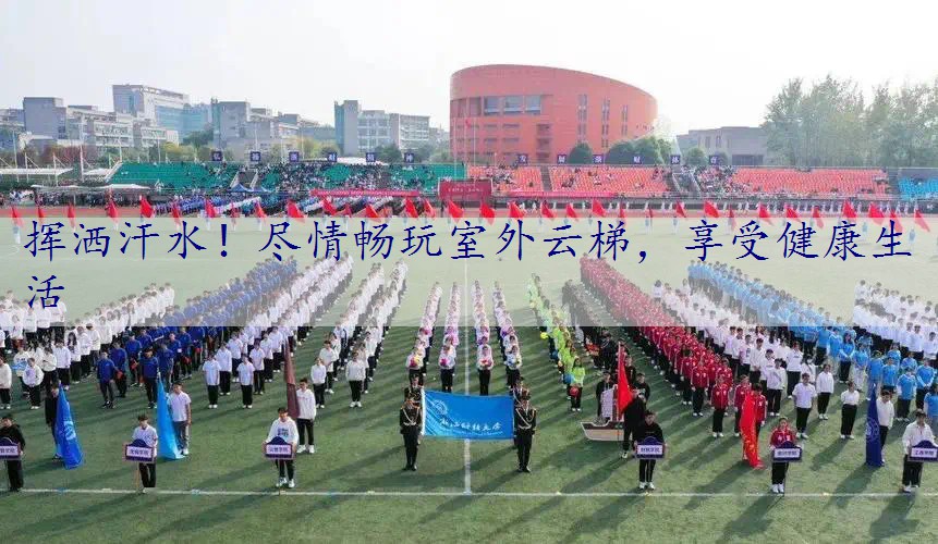 挥洒汗水！尽情畅玩室外云梯，享受健康生活