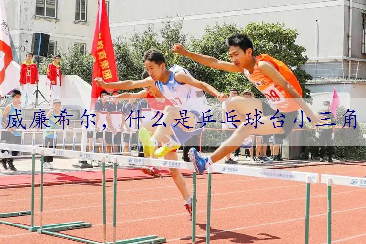 什么是乒乓球台小三角