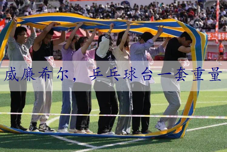 乒乓球台一套重量