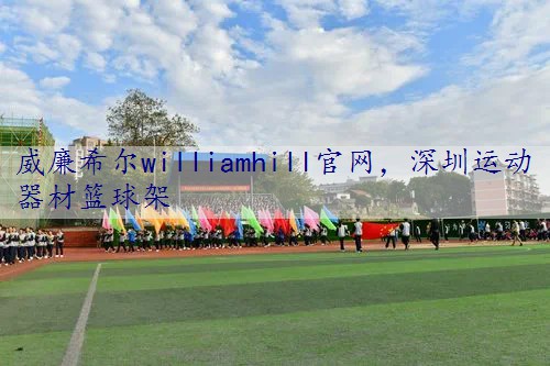 深圳运动器材篮球架