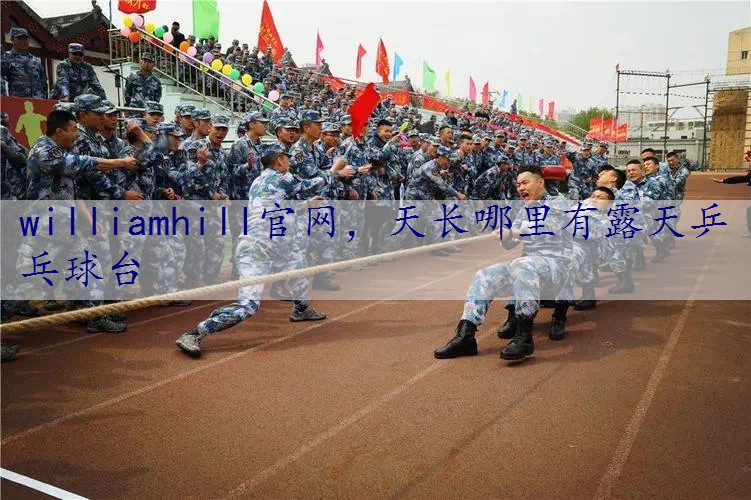 天长哪里有露天乒乓球台