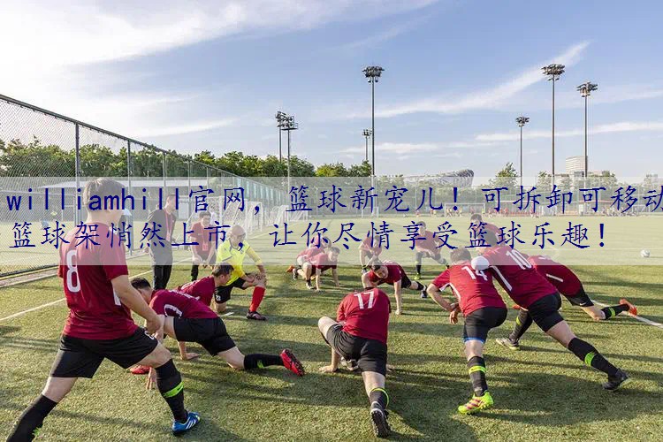 篮球新宠儿！可拆卸可移动篮球架悄然上市，让你尽情享受篮球乐趣！