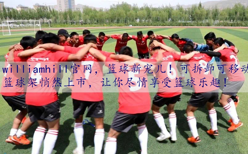 篮球新宠儿！可拆卸可移动篮球架悄然上市，让你尽情享受篮球乐趣！